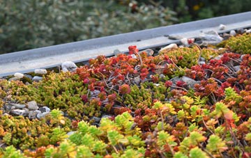 the cost of Pinfold Hill green roof installation